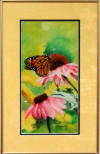 Monarch pink flowers