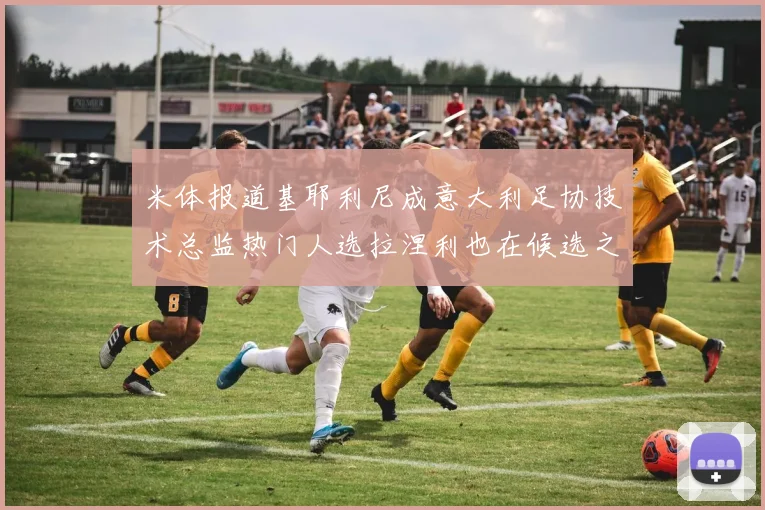 米体报道基耶利尼成意大利足协技术总监热门人选拉涅利也在候选之中